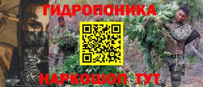 прущие грибы Анапа