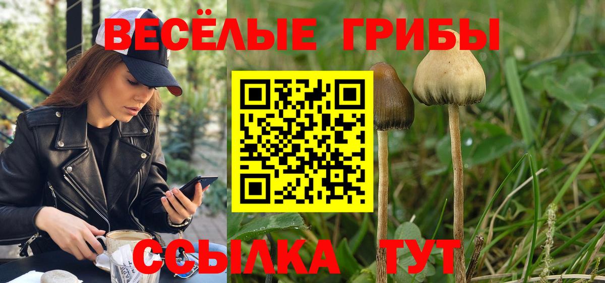 ГАШ  Лсд 25  Мефедрон кристаллы  Вход с VPN  Лесной  Марихуана 