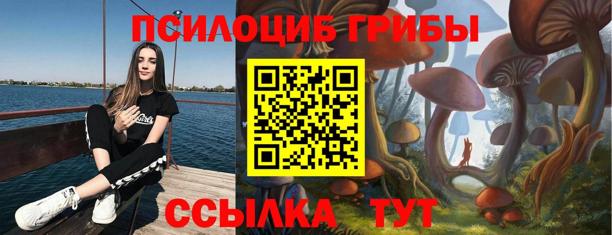 Галлюциногенные грибы прущие грибы Лесной