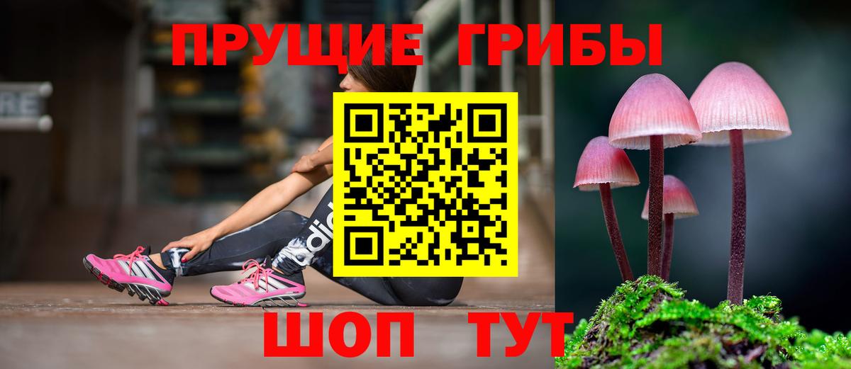 Галлюциногенные грибы ЛСД  наркотики  Вход с VPN  Лесной  Галлюциногенные грибы Cubensis 